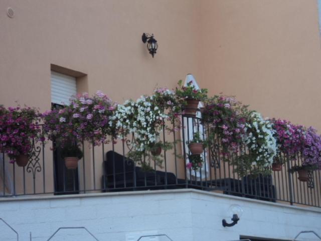 La Casa Dei Fiori Bed & Breakfast Montecilfone Exterior photo